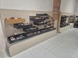 a display of shoes on shelves in a shoe store