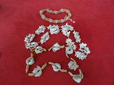 a picture of a necklace made out of shells on a red surface