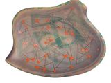 an image of a plate with a design on it