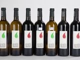 six bouteilles de vin sont alignées sur une surface blanche