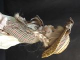 a doll that is wearing a hat and holding a basket