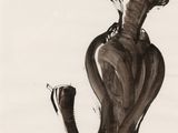 une image représentant un dessin d'un vase orné d'un oiseau