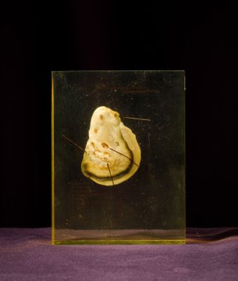 a glass box with a piece of food inside of it