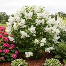 Destockage & Invendus