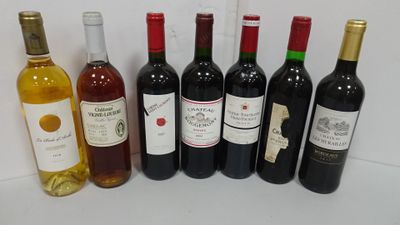 Lot de 7 Bts de vin de Bordeaux : Sauterne 2018 + Gaillac 19…