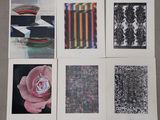 Quatre photographies différentes d'une rose sont disposées sur une table