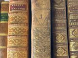 Photo 9/10 du lot