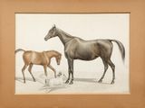 tableau représentant un cheval et un poulain, dans un cadre en bois
