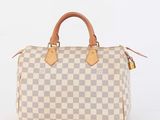 louis vuitton speedy speedy bag