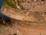 a stone bowl with moss growing out of it