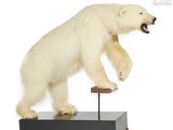 a stuffed polar bear standing on its hind legs