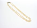 un collier de perles à un rang muni d'un fermoir, sur fond blanc