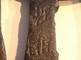 a picture of a tree that has been cut in half