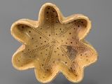 yellow ceramic bowl with a star shaped design on the inside
