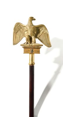 Aigle de drapeau reproduction du modèle 1804, en bronze cise… - Photo 1