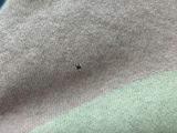 a small bug that is sitting on top of a shirt
