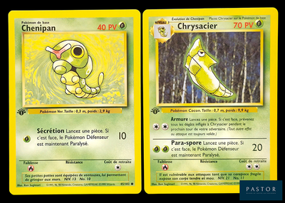 deux cartes Pokémon représentant un Pokémon vert et jaune