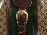 a close up of a brown and green bag with a gold buckle