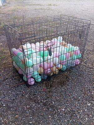 a cage filled with lots of eggs on the ground
