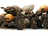 a lot of different types of carved objects on a white surface