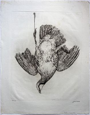 dessin représentant un oiseau perché sur une branche, tenant une brindille dans son bec