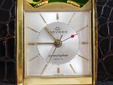 an image of a wrist watch with a flower in the background