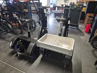 Lot de 2 triporteurs électriques COBRANE, 1 sans plaque appa… (photo 2)