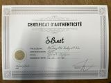 le certificat est posé sur la table, prêt à être remis