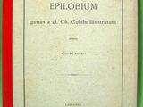 an old book on a green surface with a red border