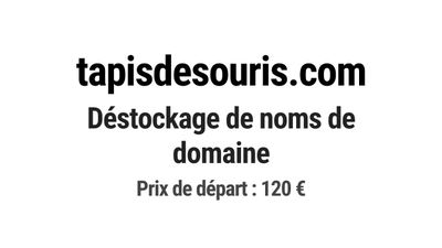 Nom de domaine tapisdesouris.com.