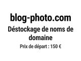 Photo 1/1 du lot