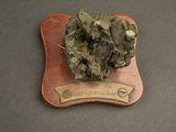a small piece of rock on a plaque on a table