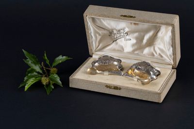 two silver spoons in a wooden box with a plant in the background