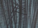 the cover of a book with a black and white photo of a tree
