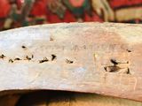 a close up of a piece of wood that has been carved into it