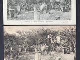 deux photos en noir et blanc montrant deux hommes travaillant dans un jardin