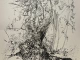 an ink drawing of a dead animal laying in the grass