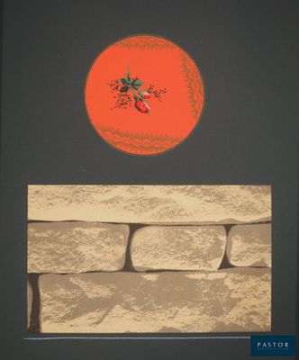 une photo d'un mur en pierre sur lequel est représentée une tomate