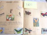 un livre ouvert sur lequel figurent des images de papillons et d'autres choses