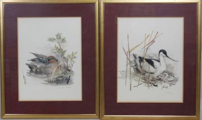 une paire d'aquarelles encadrées représentant des canards dans un étang