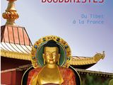 the cover of the book renaissances buddhists