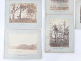 four old photographs of trees and a river in a field