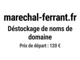Photo 1/1 du lot