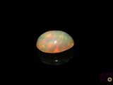 an oplite in the dark with a black background