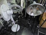 deux lampes posées sur un pied dans une pièce