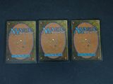three magic the gathering deck protectors