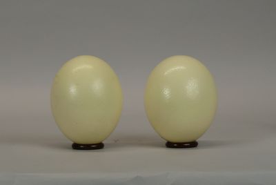two eggs that are sitting on a table