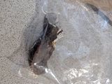 a bag of food on the floor next to a pair of scissors and a pair of scissors