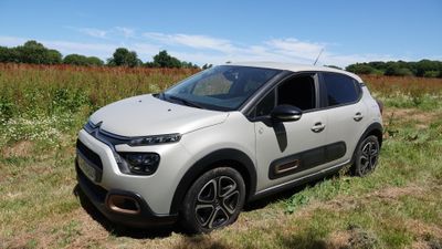 La petite voiture est garée dans un champ d'herbes hautes.