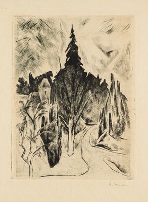 une image représentant un dessin en noir et blanc d'arbres dans une forêt
